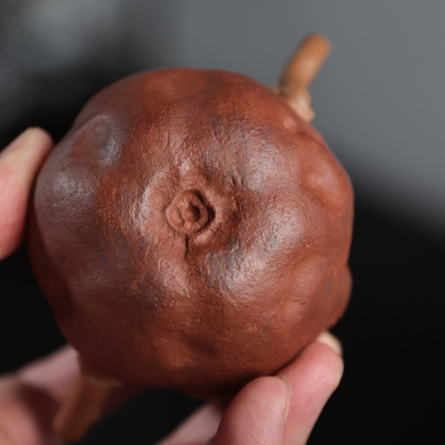 Shi Liu 200cc - Yixing Handmade Teapot - zycs_China - tea - teapot
