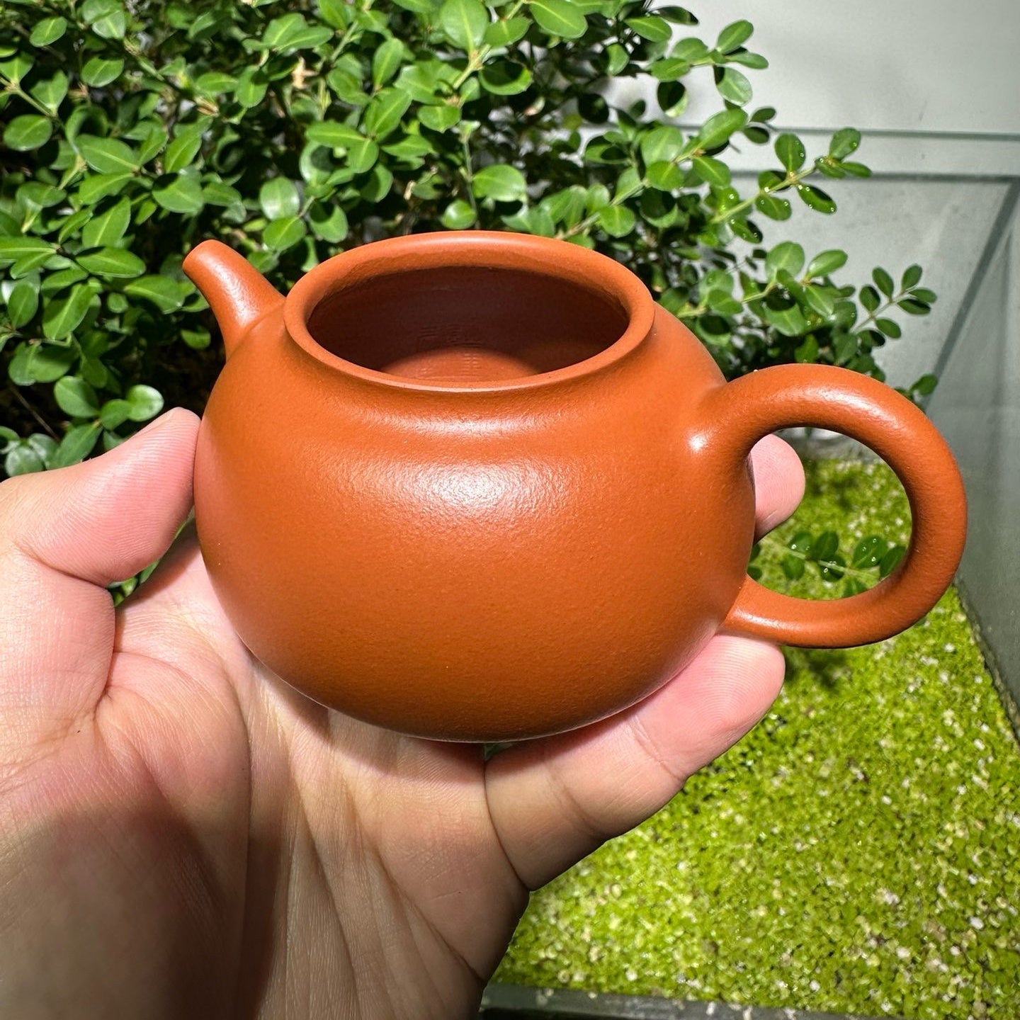 Shi Ming - Yixing Handmade Teapot - zycs_China