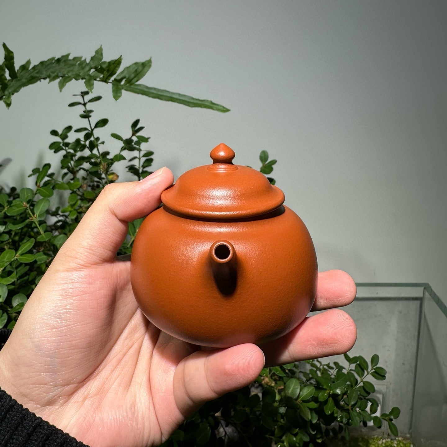 Shi Ming - Yixing Handmade Teapot - zycs_China