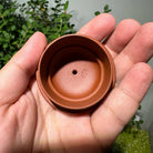 Shi Ming - Yixing Handmade Teapot - zycs_China