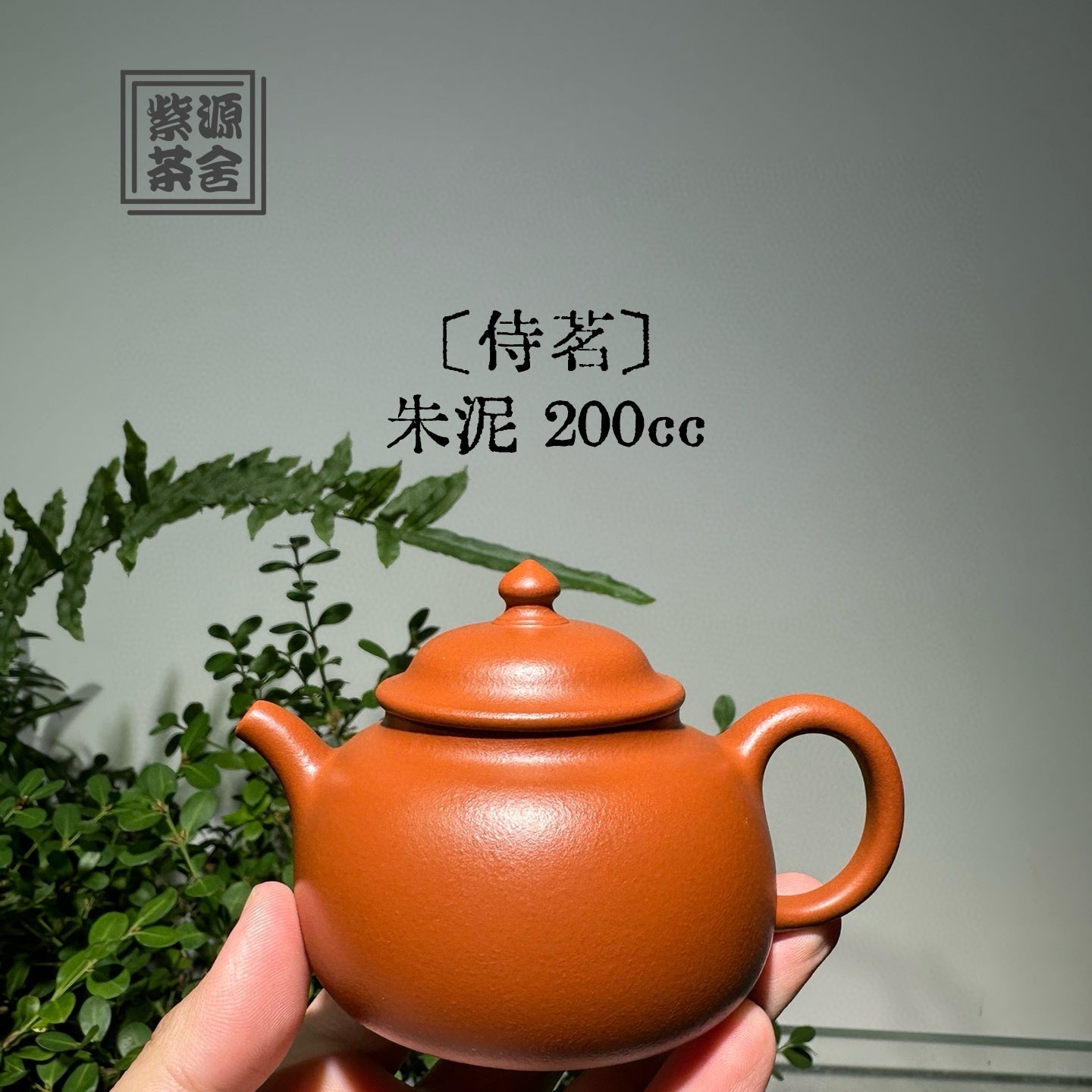 Shi Ming - Yixing Handmade Teapot - zycs_China