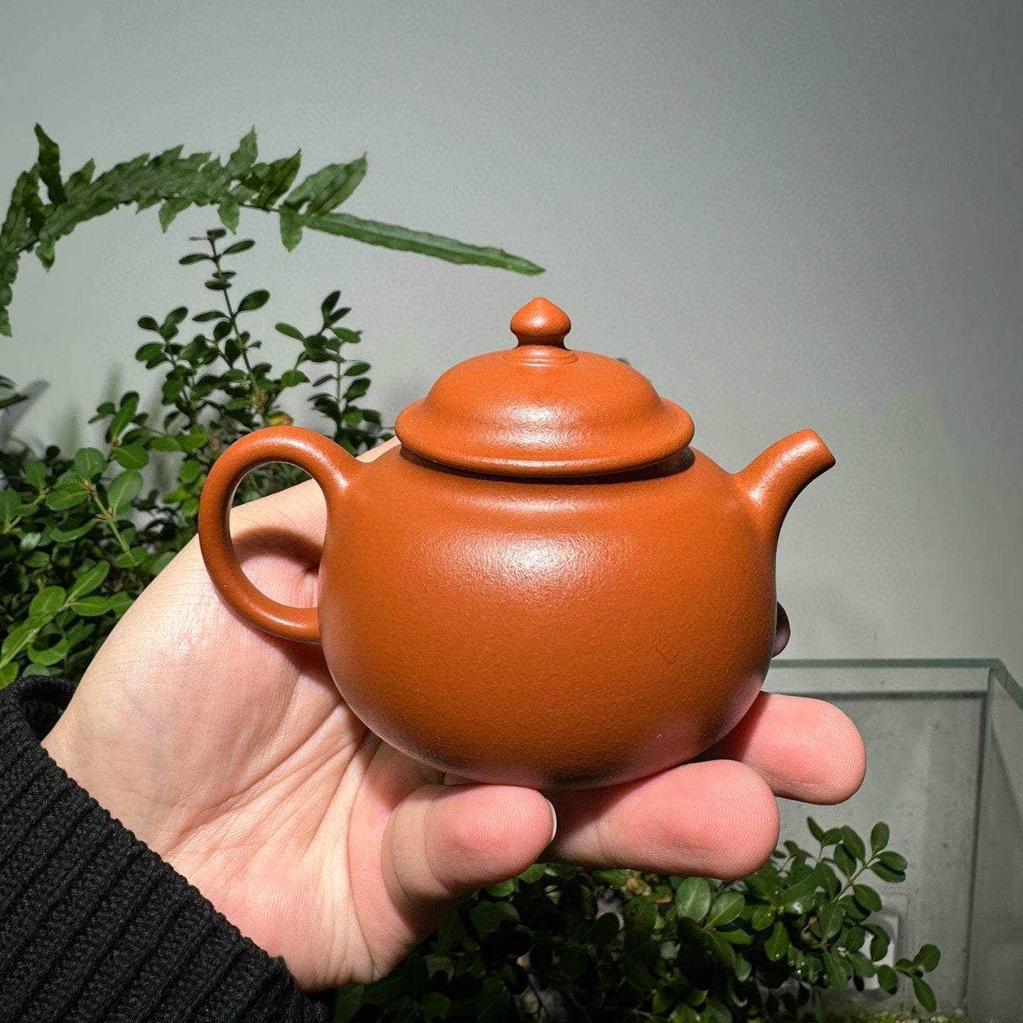 Shi Ming - Yixing Handmade Teapot - zycs_China