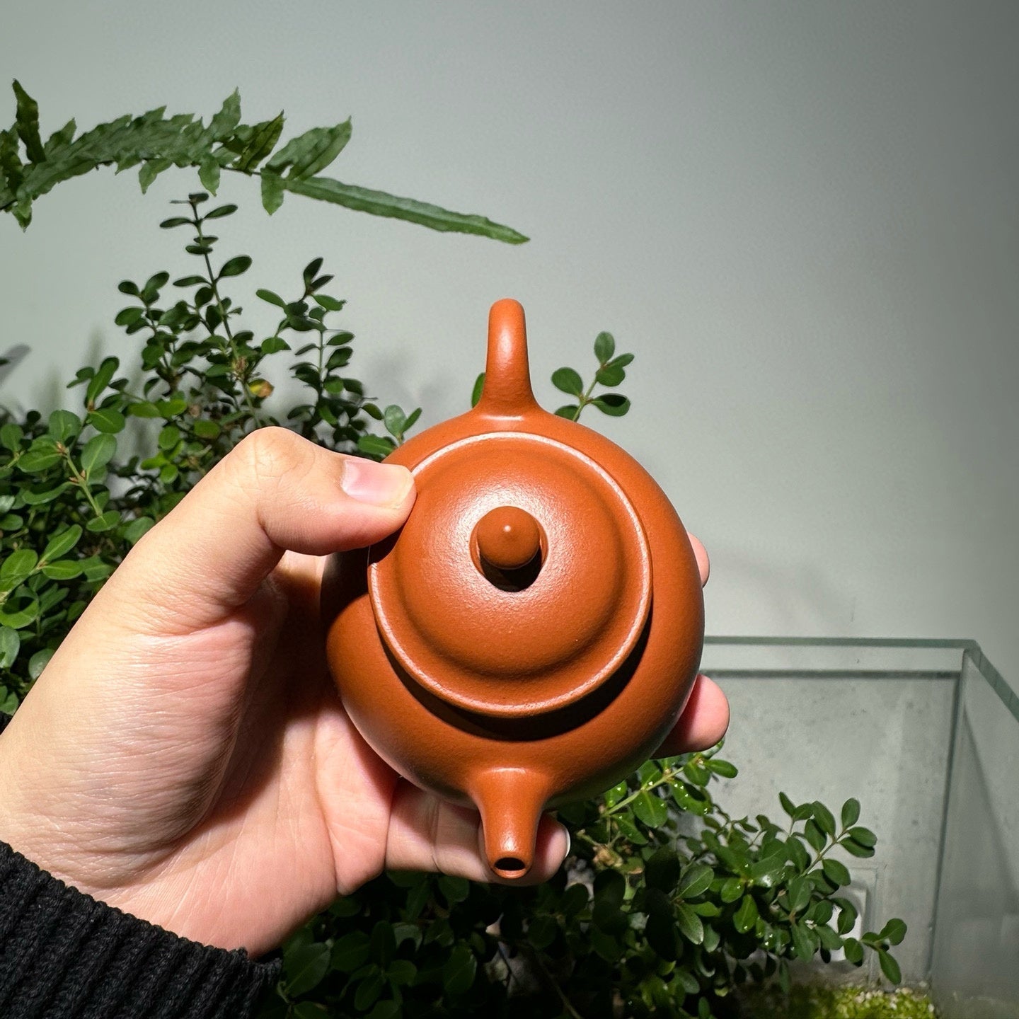Shi Ming - Yixing Handmade Teapot - zycs_China