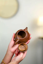 Shi Piao 200cc - Yixing Handmade Teapot - zycs_China - tea - teapot