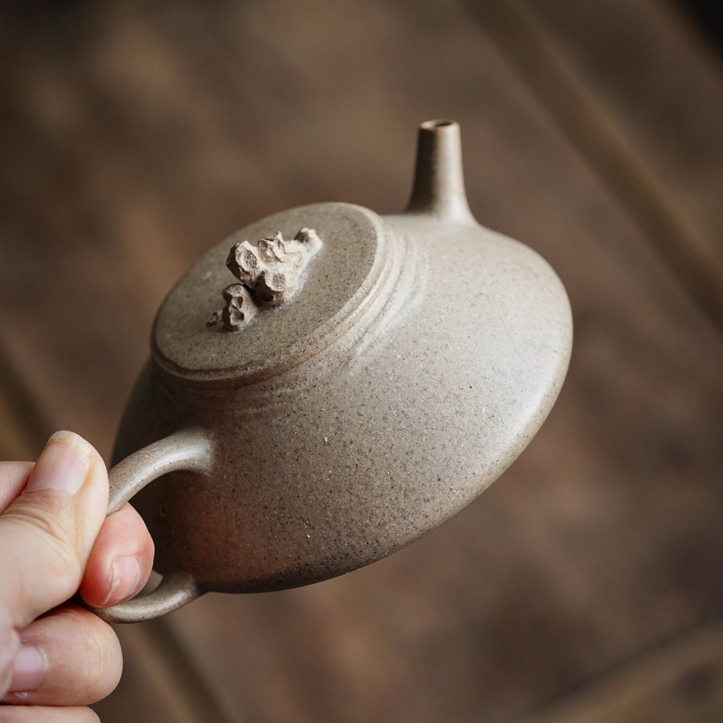 Shi Qu 150cc - Yixing Handmade Teapot - zycs_China