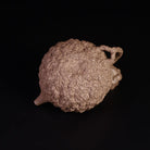 Shi Shou Gong Chun 180cc - Yixing Handmade Teapot - zycs_China