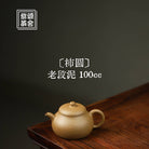 Shi Yuan 100cc - Yixing Handmade Teapot - zycs_China