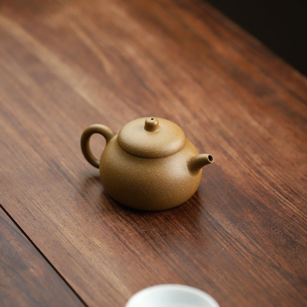 Shi Yuan 100cc - Yixing Handmade Teapot - zycs_China