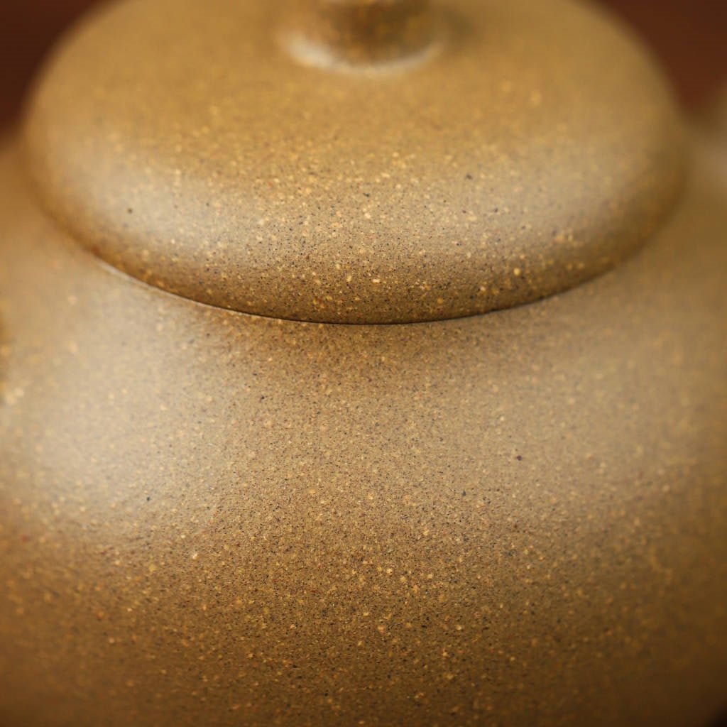 Shi Yuan 100cc - Yixing Handmade Teapot - zycs_China
