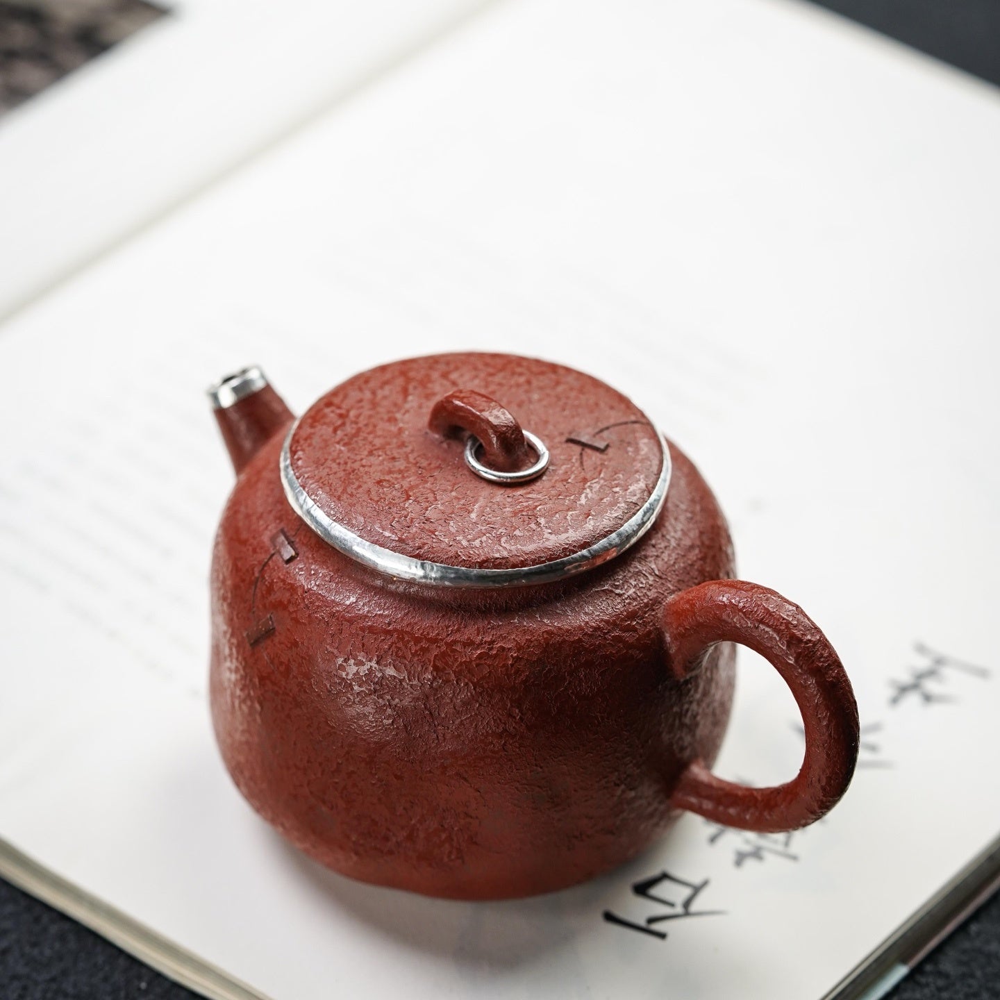 Shou Nie Hu 200cc - Yixing Handmade Teapot 江苏宜兴