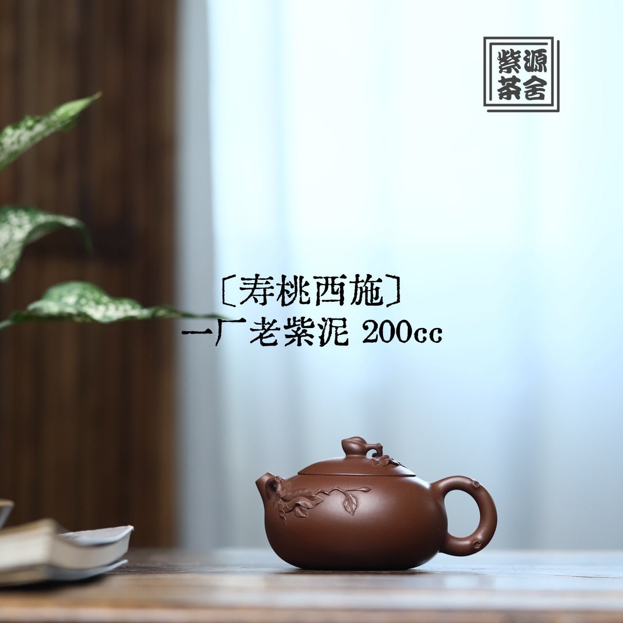 Shou Tao Xi Shi 200cc - Yixing Handmade Teapot - zycs_China
