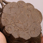 Shu Chai San You 150cc - Yixing Handmade Teapot - zycs_China