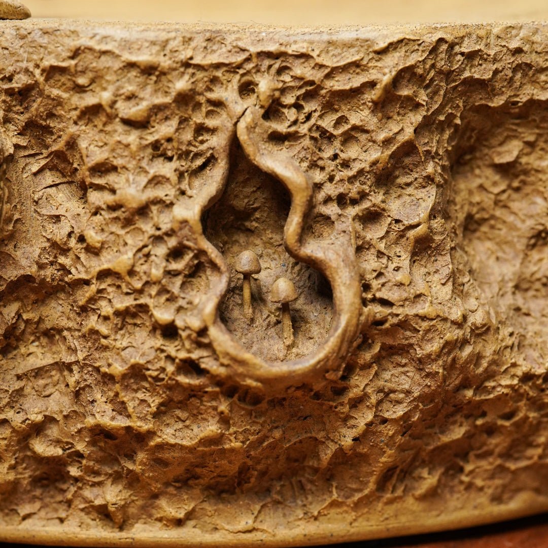 Shu Lai Bao - Dry Bubble Tray - zycs_China