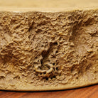 Shu Lai Bao - Dry Bubble Tray - zycs_China