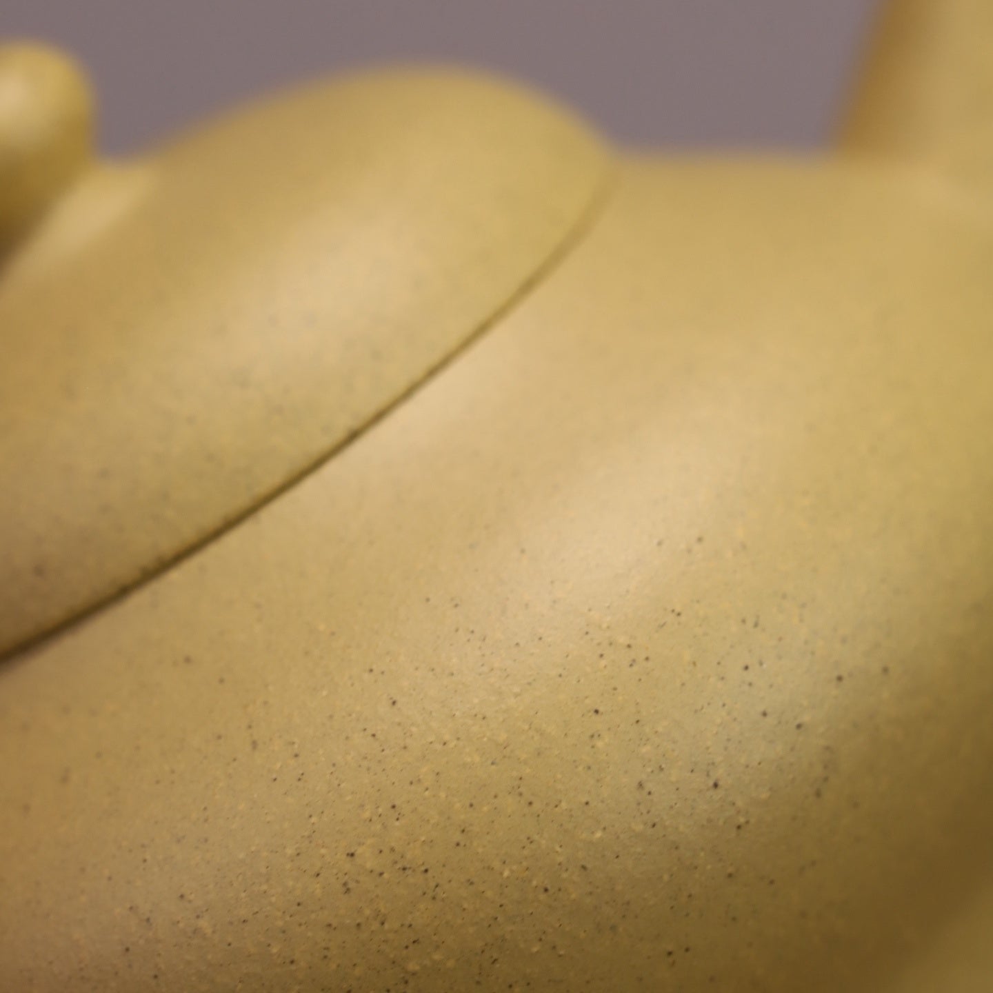 Shui Ping 100cc - Yixing Handmade Teapot - zycs_China