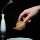 Shui Ping 100cc - Yixing Handmade Teapot - zycs_China