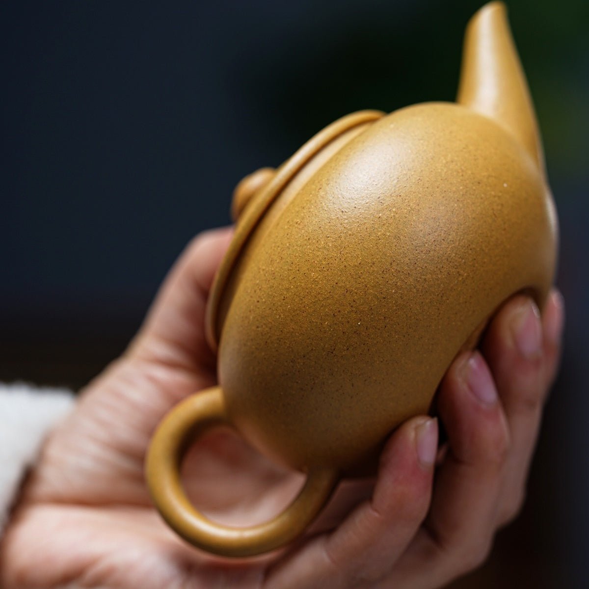 Shui Ping 200cc - Yixing Handmade Teapot - zycs_China