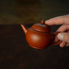Shui Ping 80cc - Yixing Handmade Teapot - zycs_China