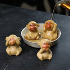 Si Bu Hou - Tea Pet - zycs_China