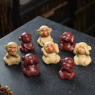 Si Bu Hou - Tea Pet - zycs_China