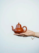 Si Ting 150cc - Yixing Handmade Teapot - zycs_China - tea - teapot