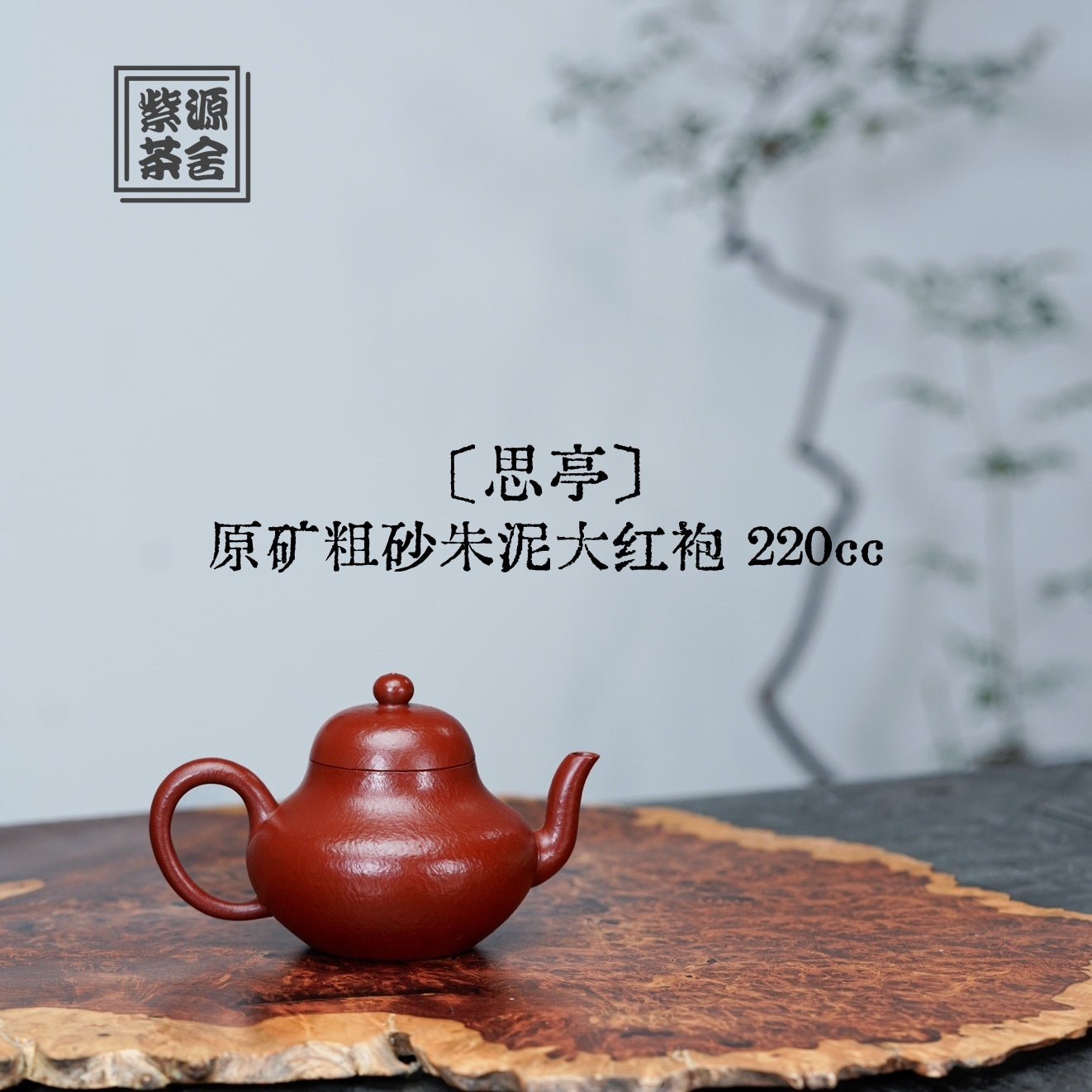 Si Ting 220cc - Yixing Handmade Teapot - zycs_China