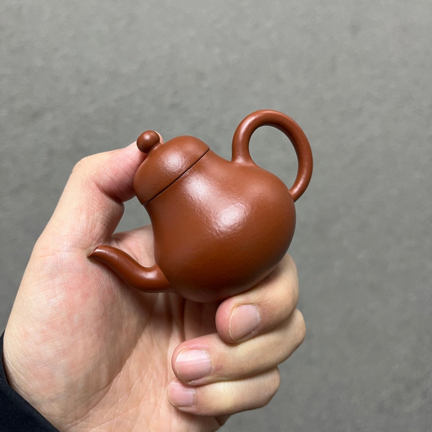 Si Ting 75cc - Yixing Handmade Teapot 江苏宜兴