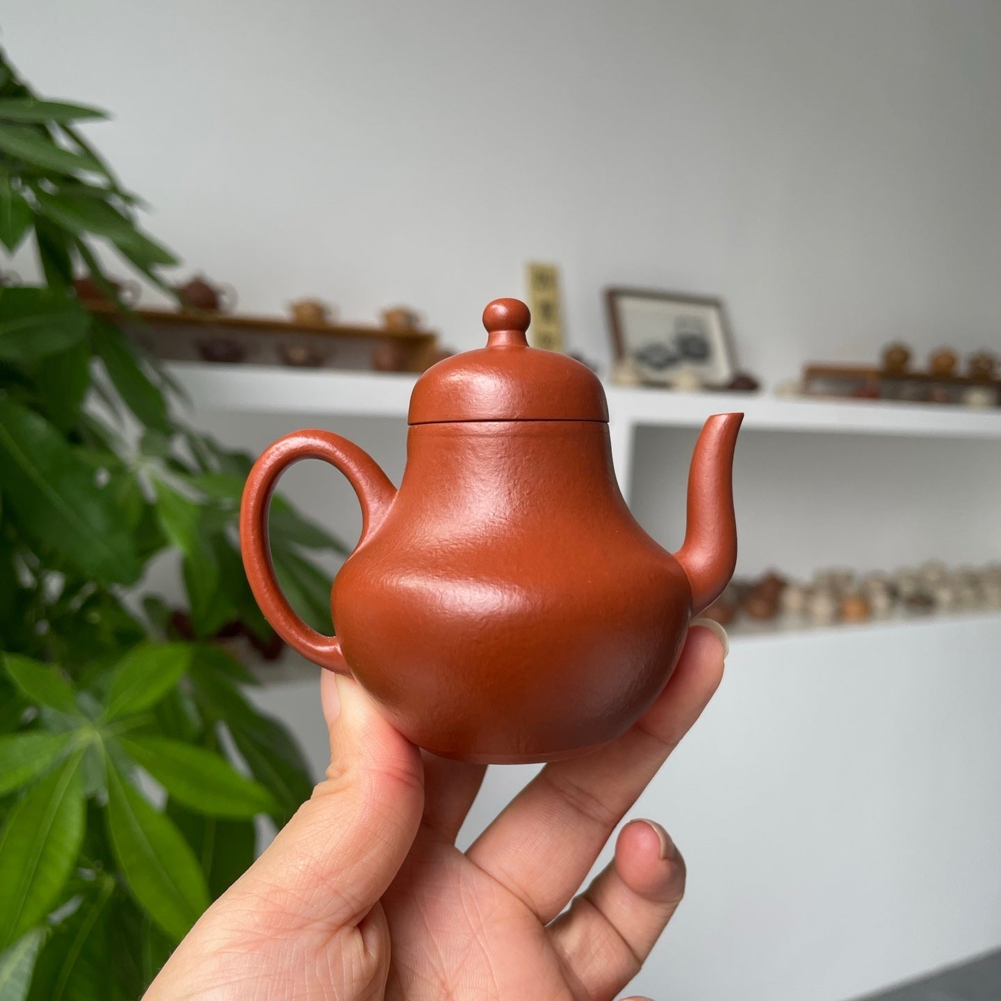 Si Ting 90cc - Yixing Handmade Teapot 江苏宜兴
