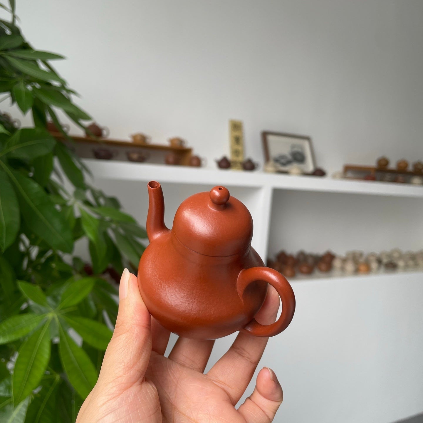 Si Ting 90cc - Yixing Handmade Teapot 江苏宜兴