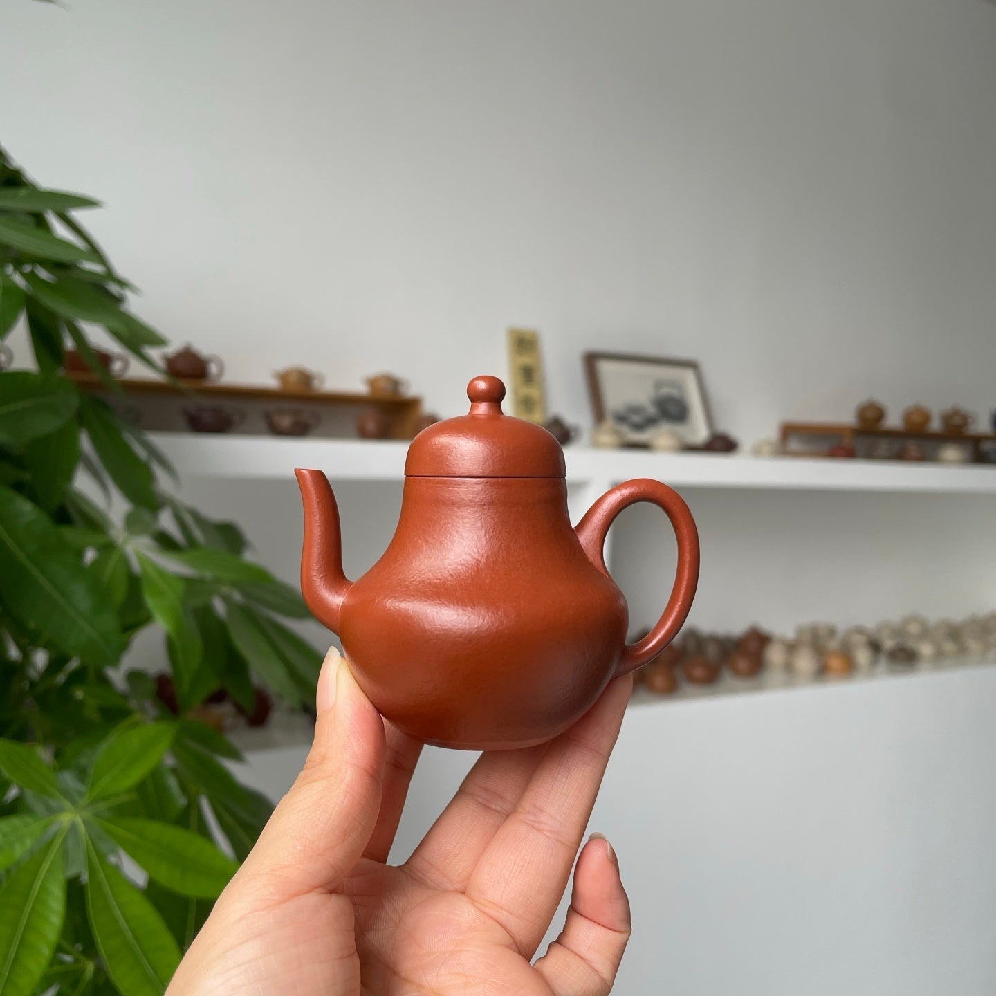 Si Ting 90cc - Yixing Handmade Teapot 江苏宜兴