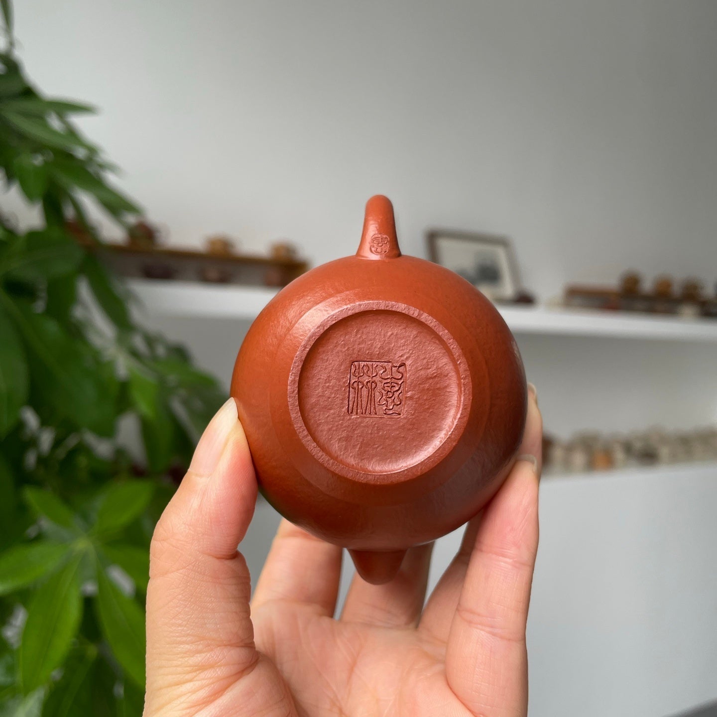 Si Ting 90cc - Yixing Handmade Teapot 江苏宜兴