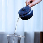 Song Guo 160cc - Yixing Handmade Teapot - zycs_China