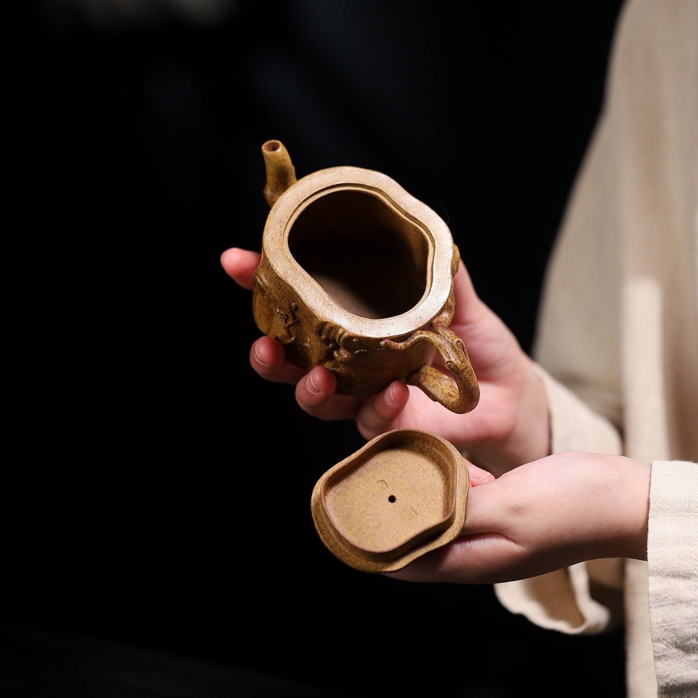 Ta Xue Xun Mei 180cc - Yixing Handmade Teapot - zycs_China