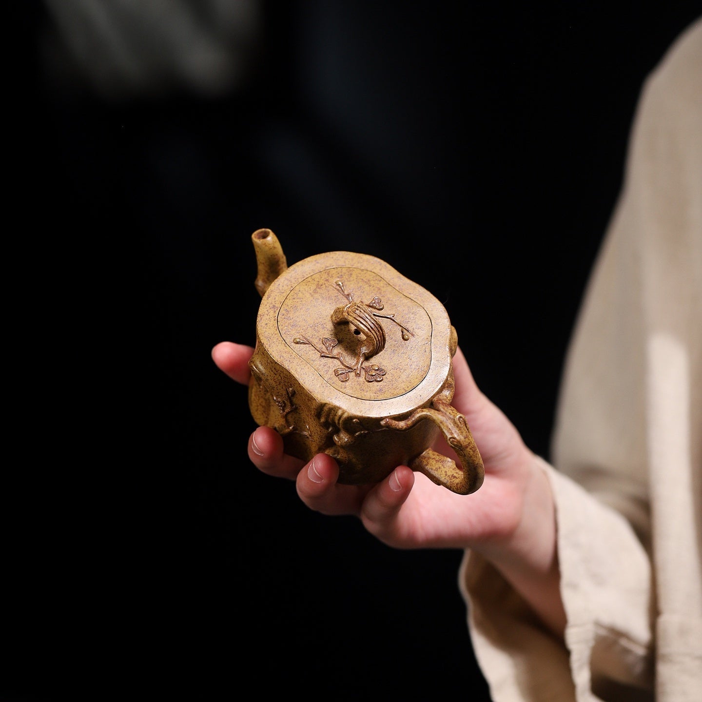 Ta Xue Xun Mei 180cc - Yixing Handmade Teapot - zycs_China