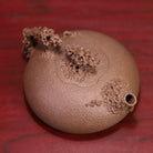 Tai Hu Qi Shi - Yixing Handmade Teapot - zycs_China