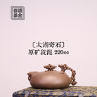 Tai Hu Qi Shi - Yixing Handmade Teapot - zycs_China
