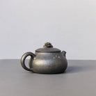 Tai Hu Shi Qu 130cc - Yixing Handmade Teapot - zycs_China