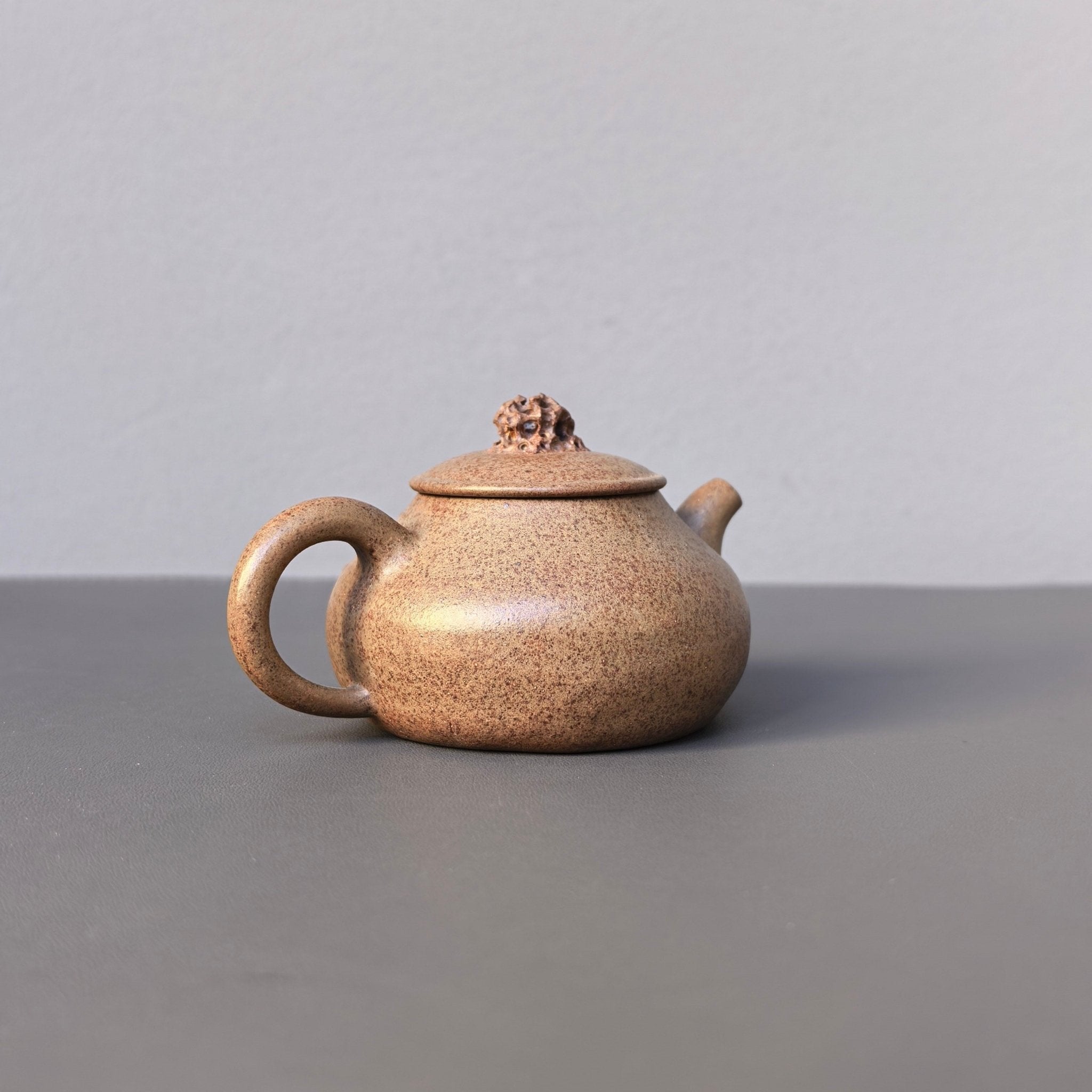 Tai Hu Shi Qu 130cc - Yixing Handmade Teapot - zycs_China
