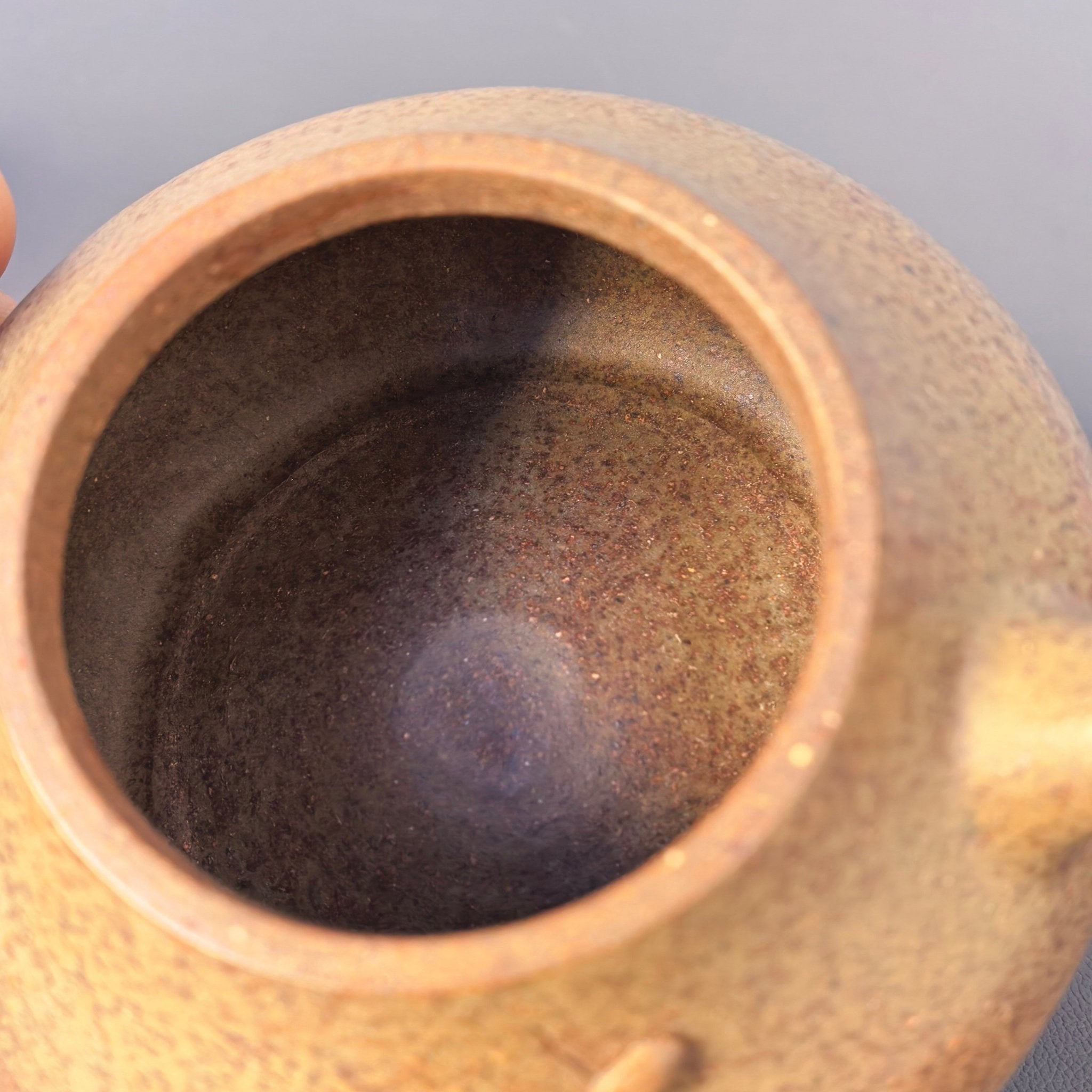 Tai Hu Shi Qu 130cc - Yixing Handmade Teapot - zycs_China