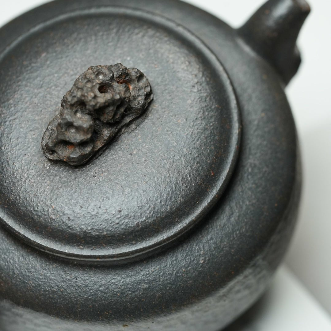 Tai Hu Shi Qu 150cc - Yixing Handmade Teapot - zycs_China