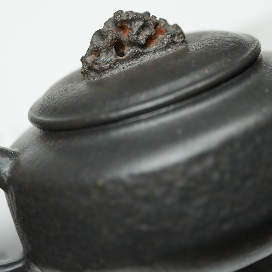 Tai Hu Shi Qu 150cc - Yixing Handmade Teapot - zycs_China