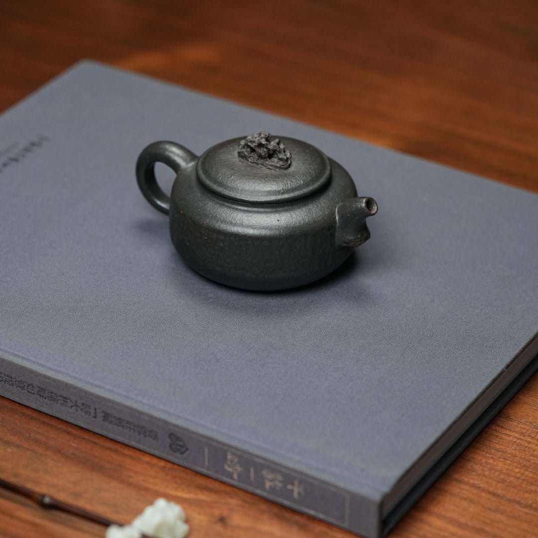 Tai Hu Shi Qu 150cc - Yixing Handmade Teapot - zycs_China