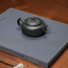 Tai Hu Shi Qu 150cc - Yixing Handmade Teapot - zycs_China