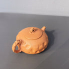 Tai Hu Shi Qu 180cc - Yixing Handmade Teapot - zycs_China - tea - teapot