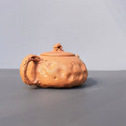 Tai Hu Shi Qu 180cc - Yixing Handmade Teapot - zycs_China - tea - teapot