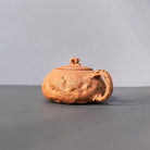 Tai Hu Shi Qu 180cc - Yixing Handmade Teapot - zycs_China - tea - teapot