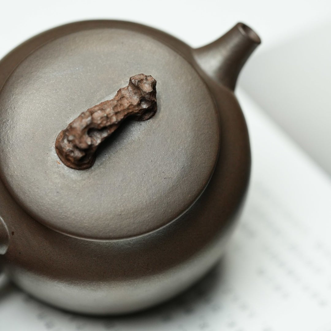 Tai Hu Shi Qu 90cc - Yixing Handmade Teapot - zycs_China