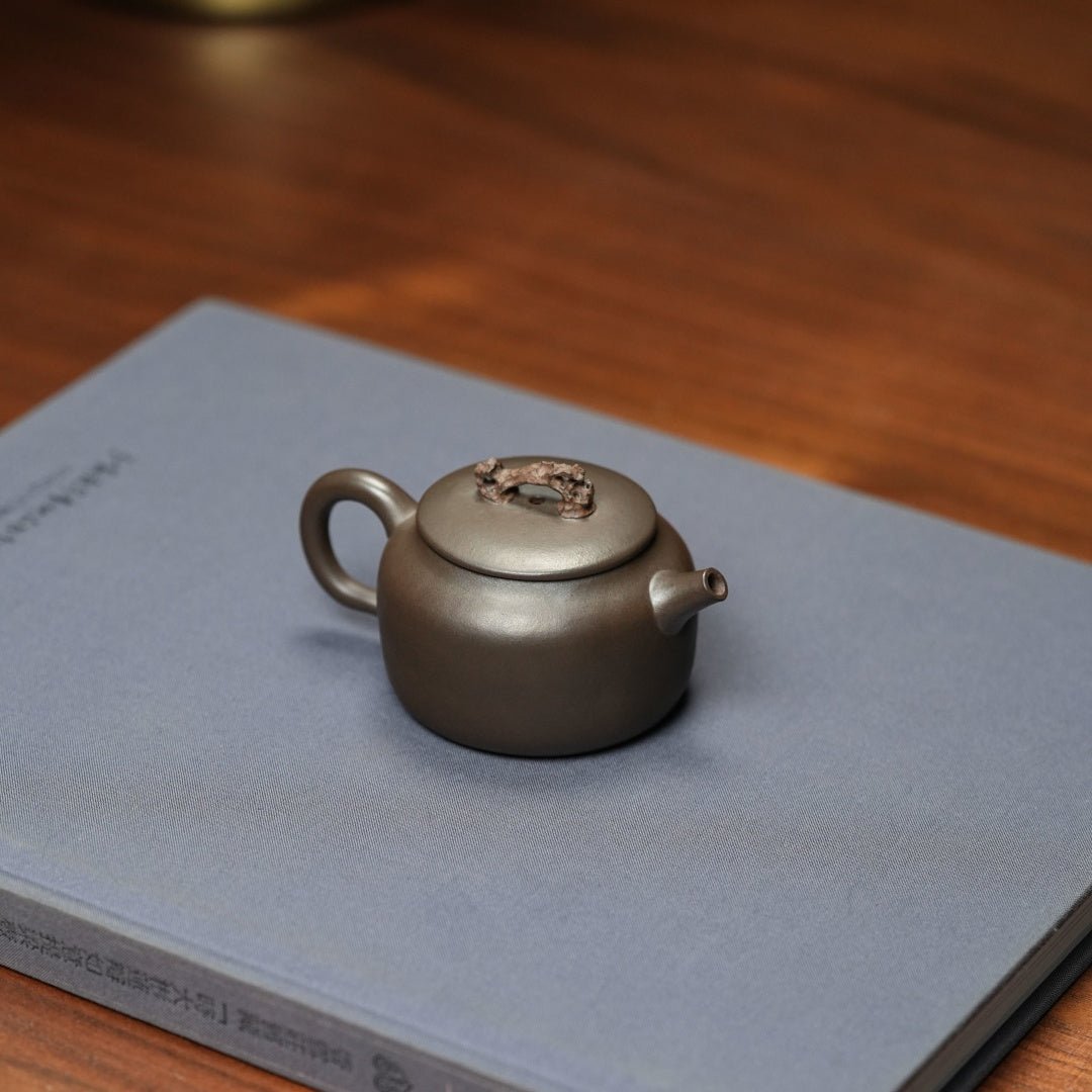 Tai Hu Shi Qu 90cc - Yixing Handmade Teapot - zycs_China