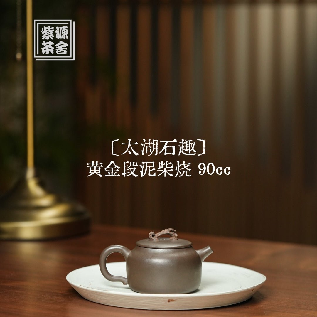 Tai Hu Shi Qu 90cc - Yixing Handmade Teapot - zycs_China