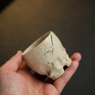 Tai Hu Shi Yu Feng 100cc - Yixing Handmade Teacup - zycs_China